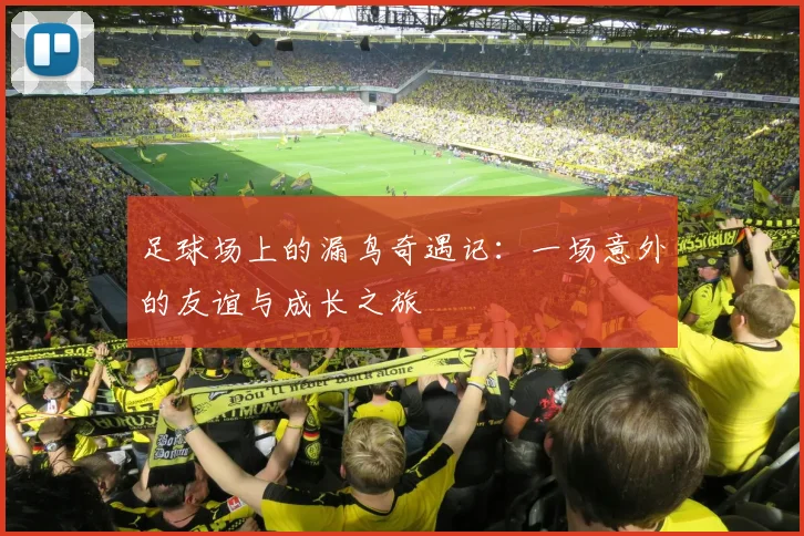 足球场上的漏鸟奇遇记：一场意外的友谊与成长之旅