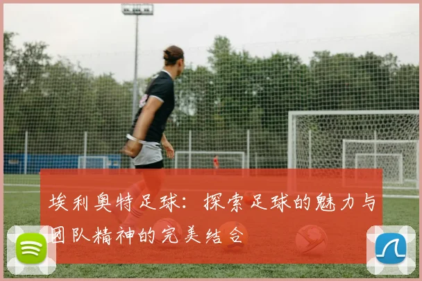 埃利奥特足球：探索足球的魅力与团队精神的完美结合